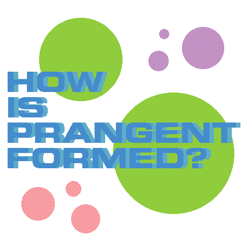 How is prangent formed?